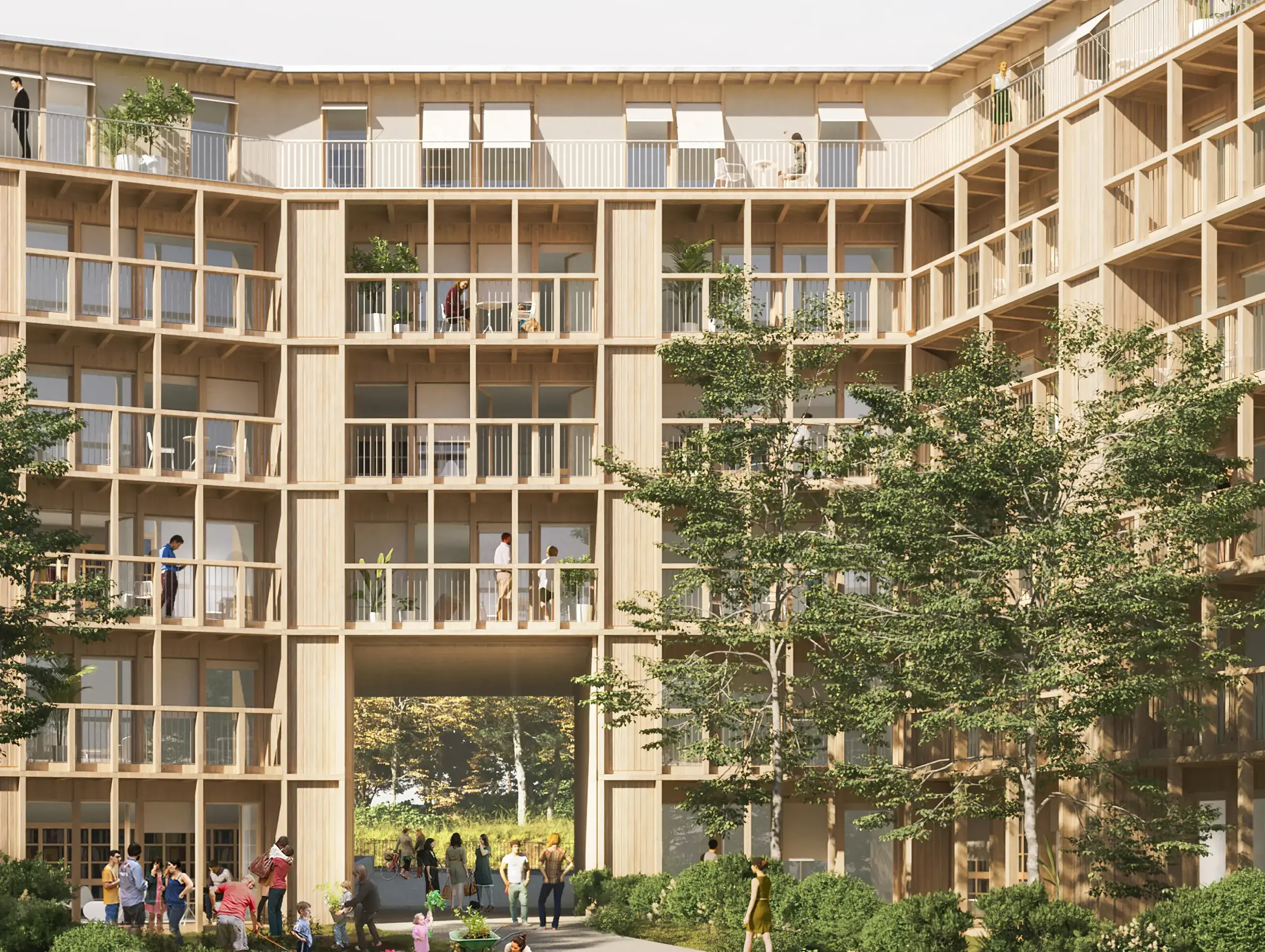 Erisma - Côté Forêt